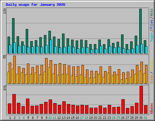 Daily usage for January 2026