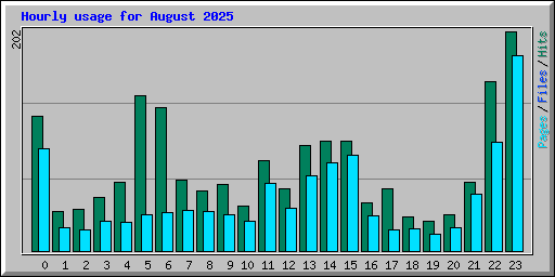 Hourly usage for August 2025