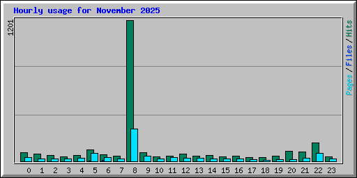 Hourly usage for November 2025