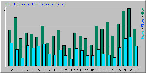 Hourly usage for December 2025