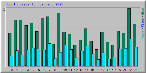 Hourly usage for January 2026