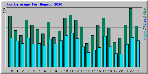 Hourly usage for August 2026